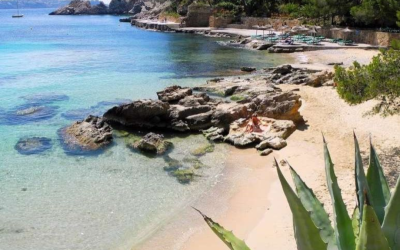 Cala Fornells en Mallorca: Un Paraíso Natural en la Costa Oeste